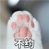 cara main kartu kungfu panda zuper keju Berlangganan ke Hankyoreh cara daftar qqturbo